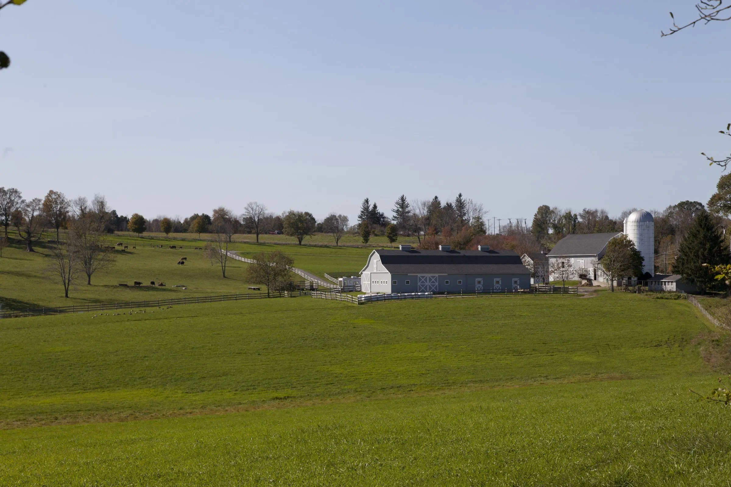 Open green pasture rising to the barns and silo of Long Ridge Farm in Litchfield