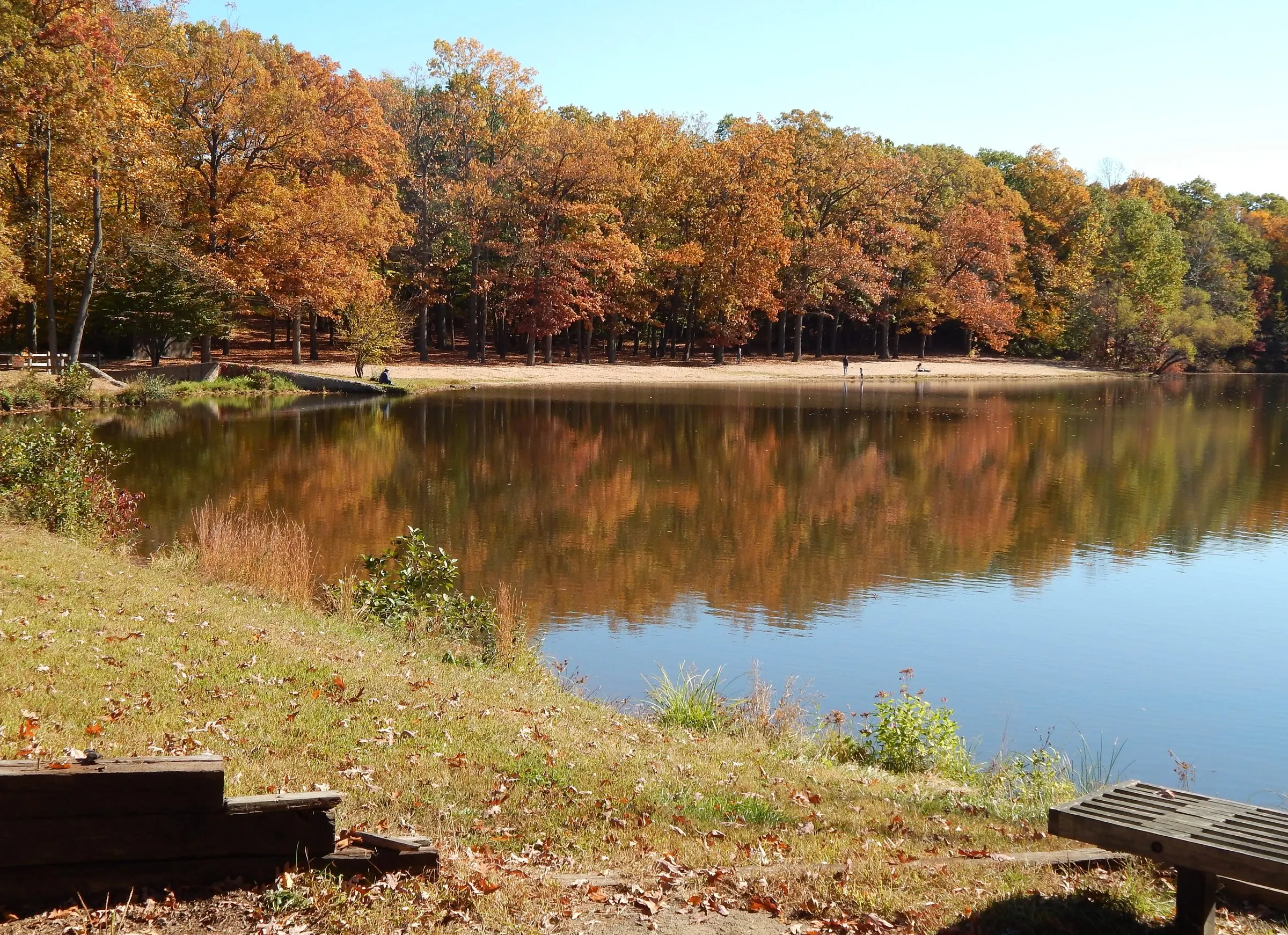 Autumn trees reflected in the still pond at Wharton Brook State Park in Wallingford